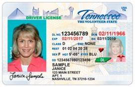 TN drivers license